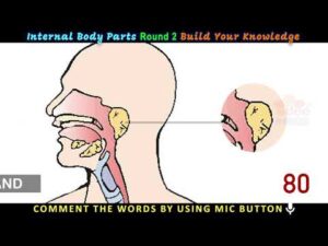 spoken english tips spoken english tips