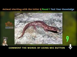 spoken english tips spoken english tips